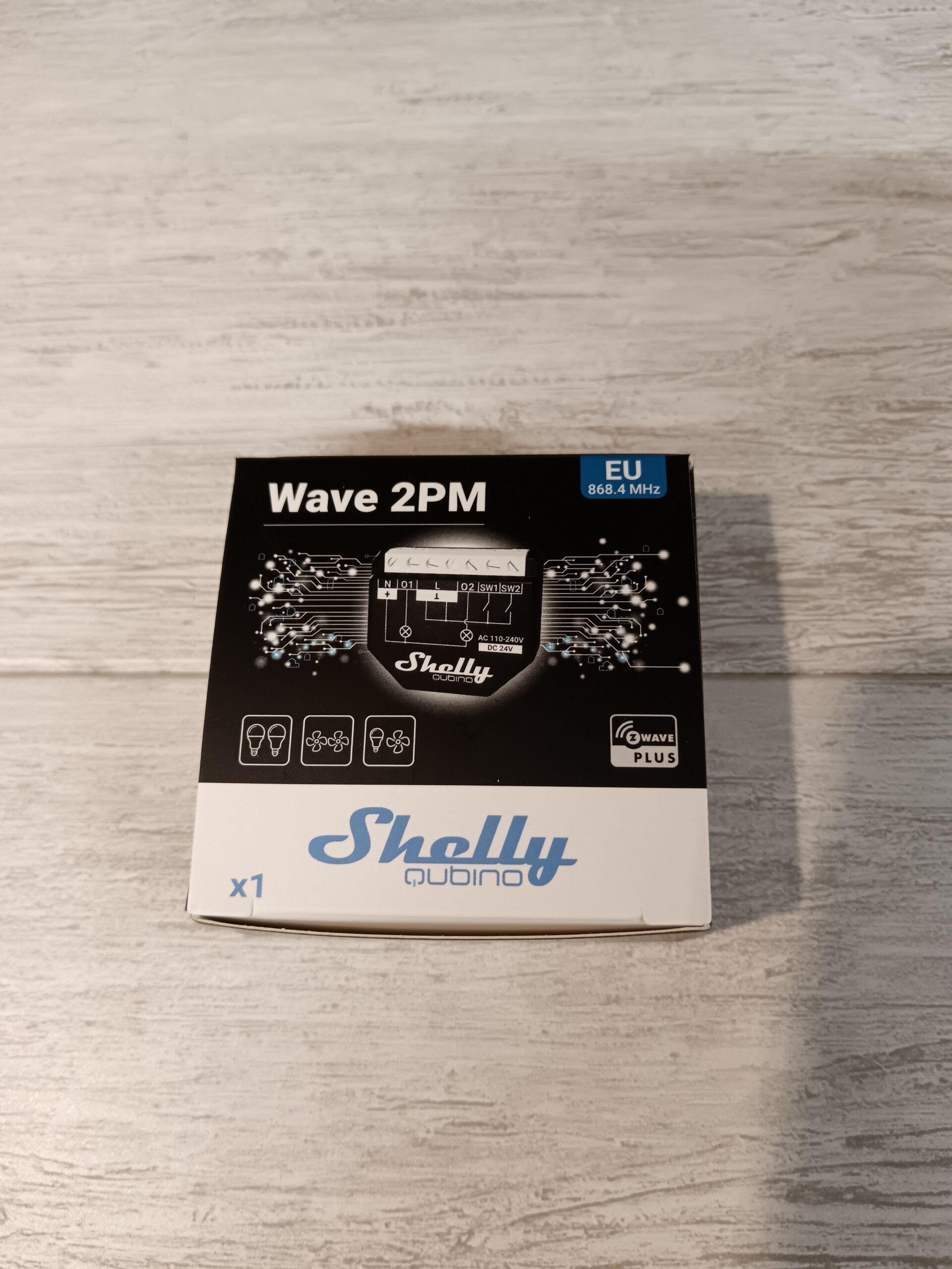 Shelly Qubino Wave 2PM